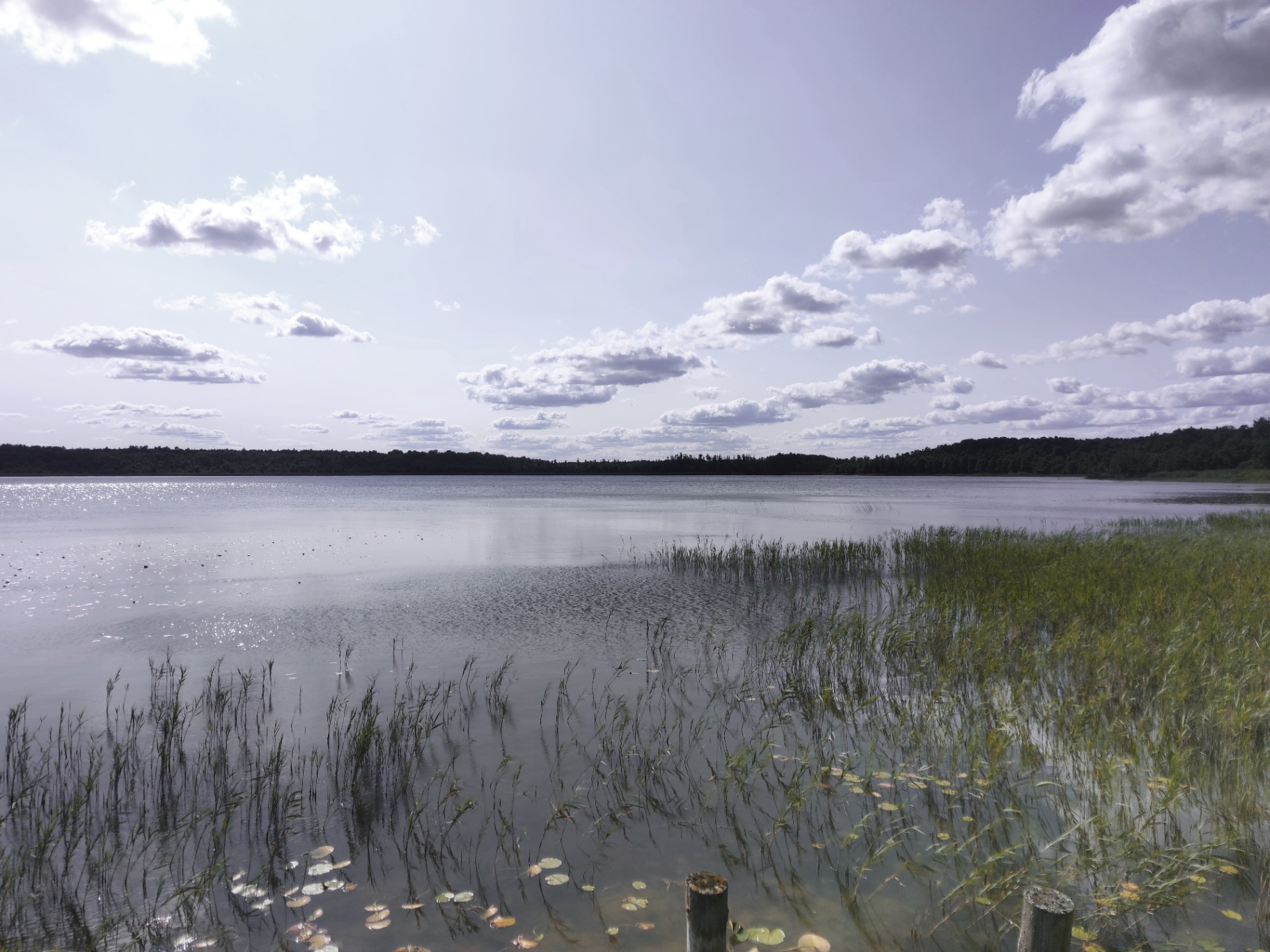 Weite Seenlandschaft mit hohem Wolkenhimmel und Schilfgräsern im Vordergrund – Sinnbild für Ruhe und Weite in der Psychotherapie