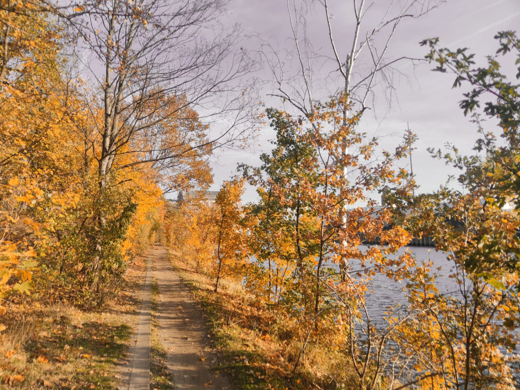 Herbstlicher Waldweg entlang eines Flusses mit goldenem Laub – Sinnbild für den persönlichen Weg in der Einzeltherapie
